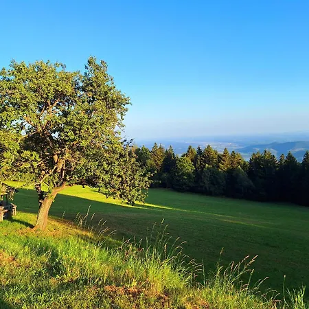 Ferienhuette Panoramablick 別荘