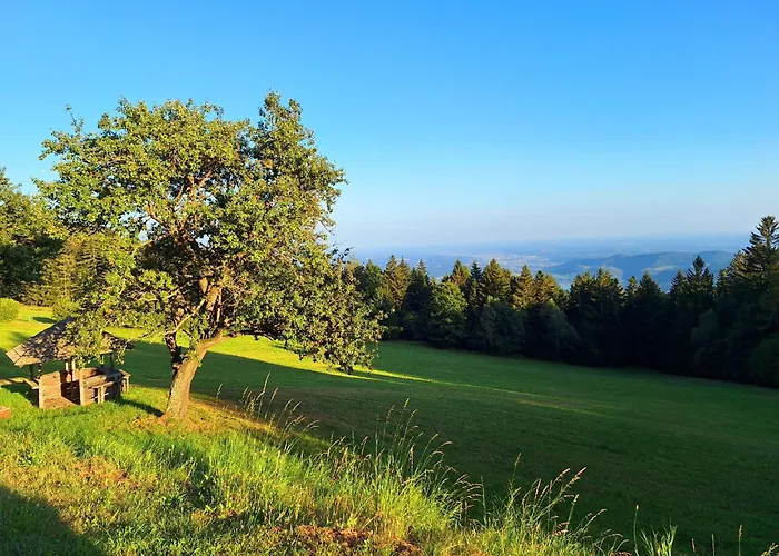 Ferienhuette Panoramablick بيت للعطل